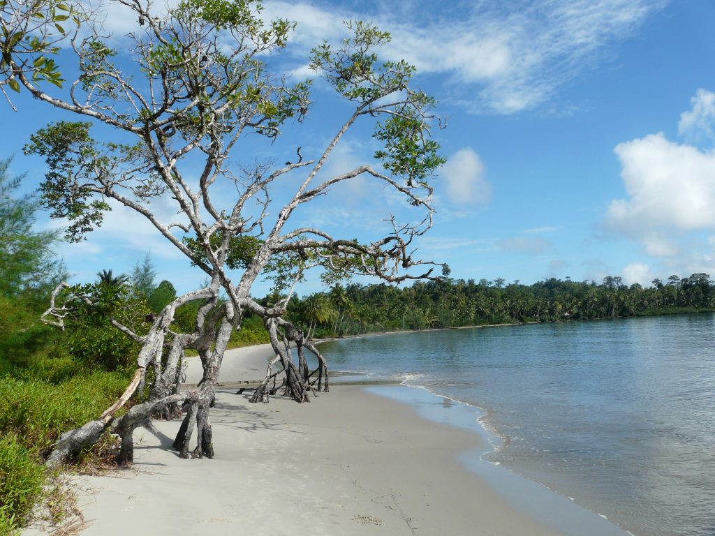 Indonésie Sumatra Siberut