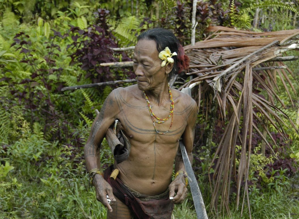 Indonésie Sumatra Siberut